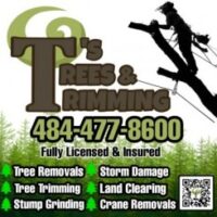 T’s Trees & Trimming T’s Trees & Trimming